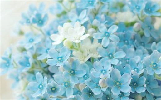 2026年04月28日不适合婚嫁吗,这天结婚合适吗