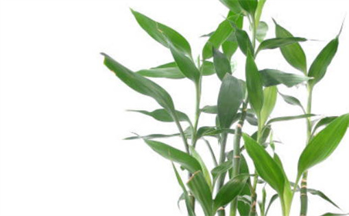 农历二〇二六年六月三十黄历不推荐迁新居吗,乔迁好日子有哪些