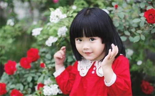 刘姓男孩子取名