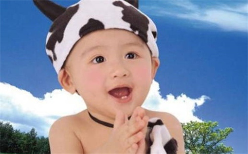 何姓男孩子取名