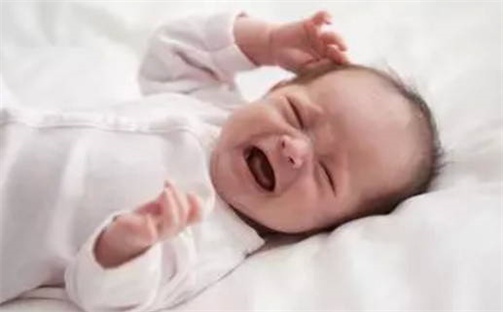 杨姓男孩子取名