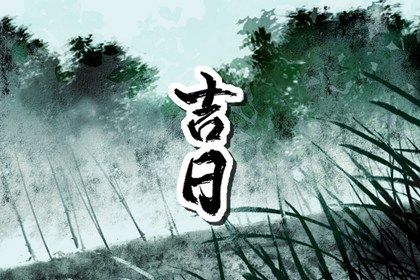 2026年12月11日提车指南：宜忌分析与适宜性探讨